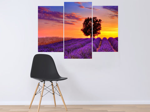 3 Pcs Nature &amp; Landscape