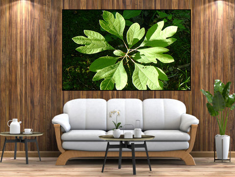 SINGLE 3D WALL FRAME (SIF-044)