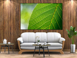 SINGLE 3D WALL FRAME (SIF-035)